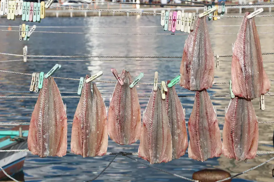 Trocknender Fisch, eine mögliche Quelle