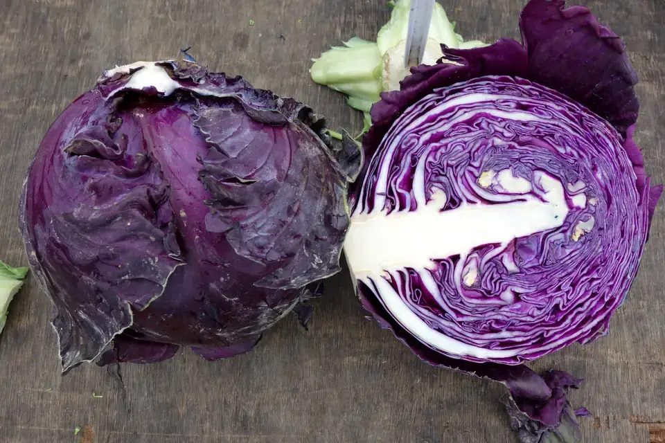 Rotkohl