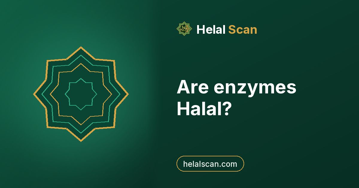 Are enzymes Halal?
