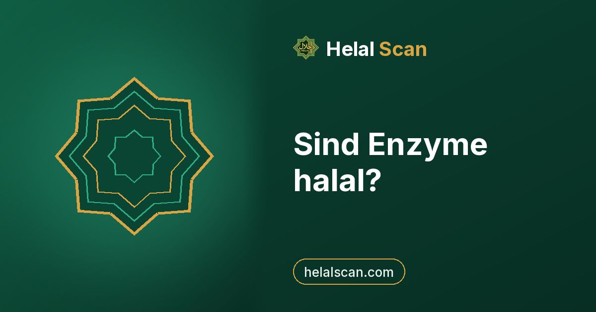 Sind Enzyme halal?